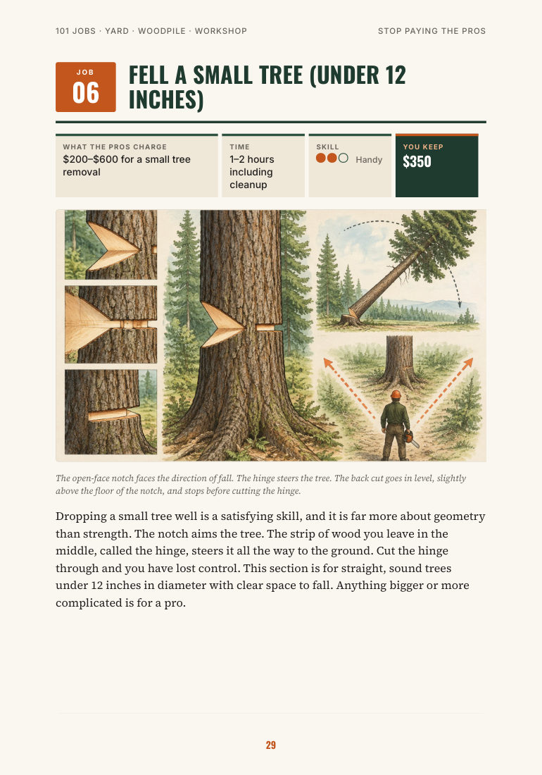 Job 6 page: fell a small tree
